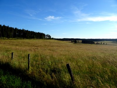 DSC01074 