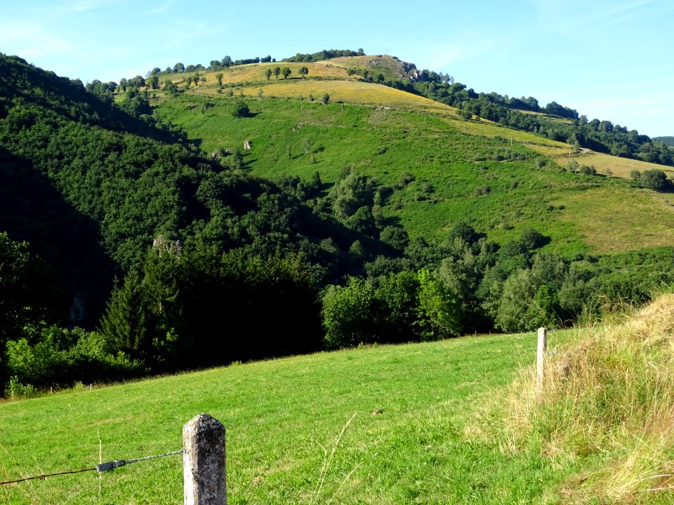DSC00987 