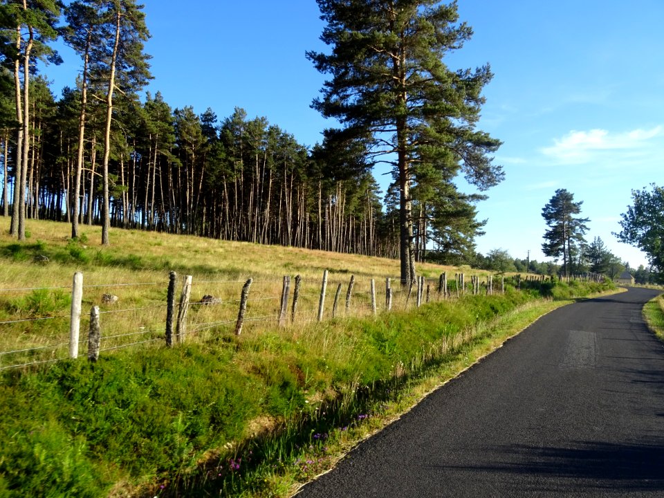 La D65 entre Toularic et Ville Vieille, Cantal 