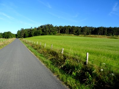 DSC01039 