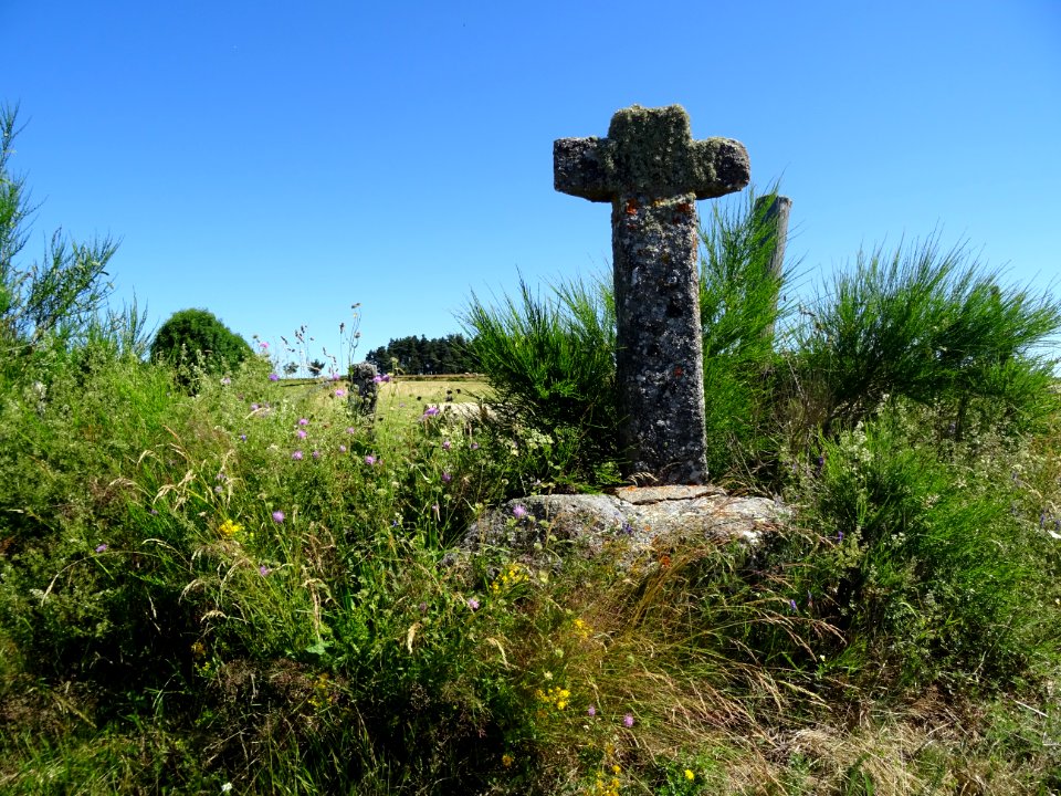 Croix en granite, près du Cheylaret, Lozère 