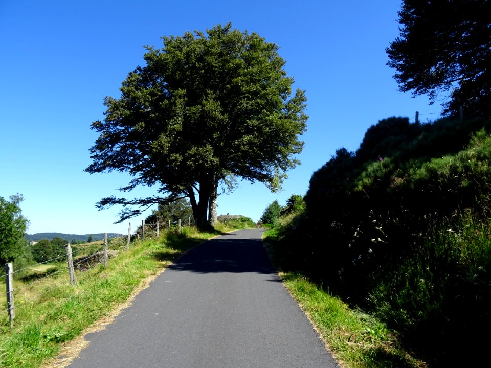 Montée vers Reyrac et le Cheylaret, Lozère 