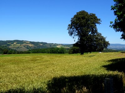 DSC01369 