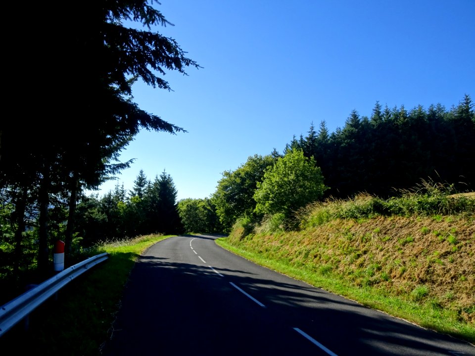 Montée dans la forêt de la Margeride, entre La Pelle et La… 