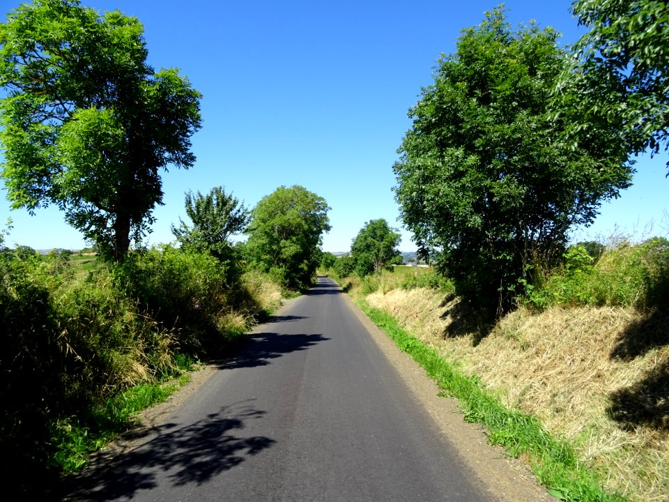 DSC01411 