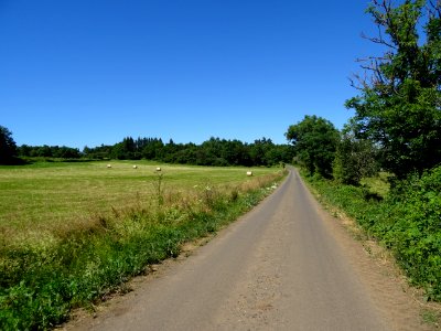 Sur une petite route bucolique avant l'arrivée à Saint-Flo… 