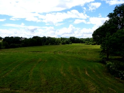Une grande prairie près de Salers, Cantal 