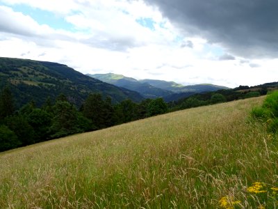 Vue vers Puy Chavaroche et Puy Mary, depuis Chastrade, Can… 