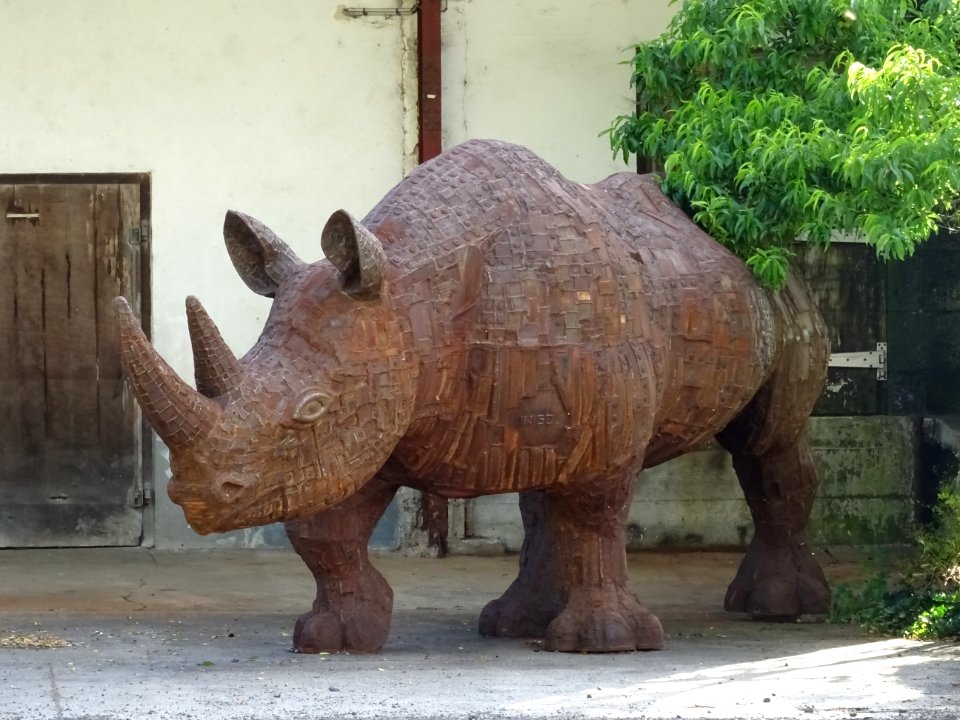 Un rhinocéros dans une cour, Ytrac, Cantal 
