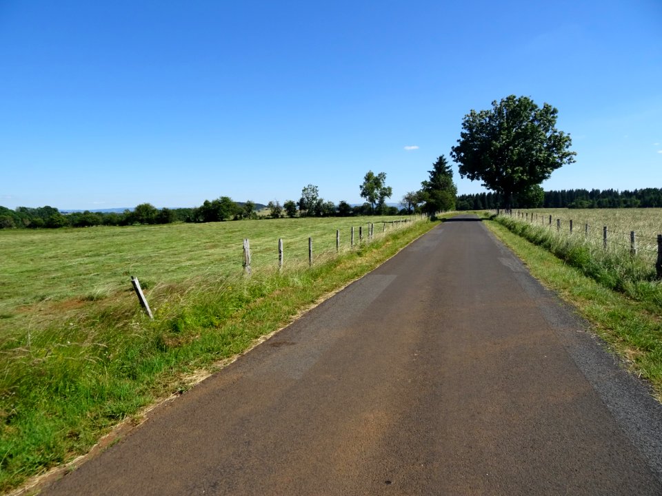 DSC00919 