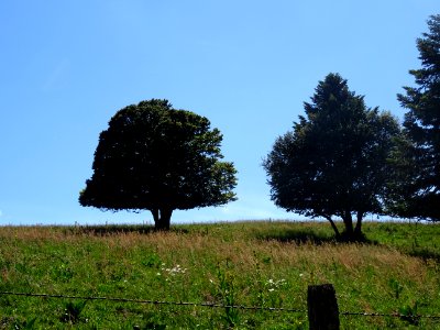 DSC00858 