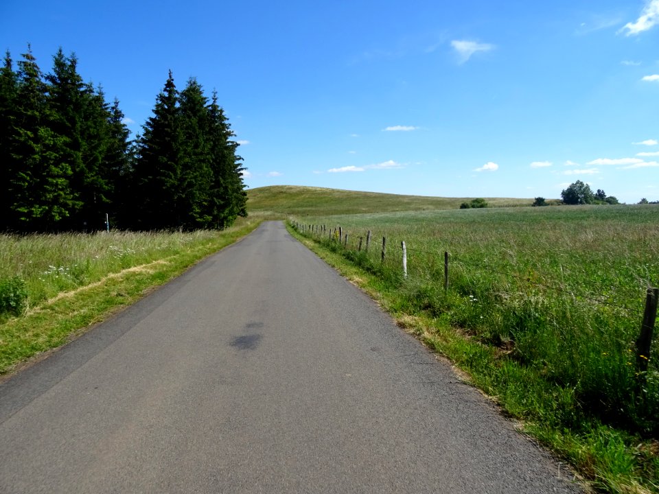 DSC00882 