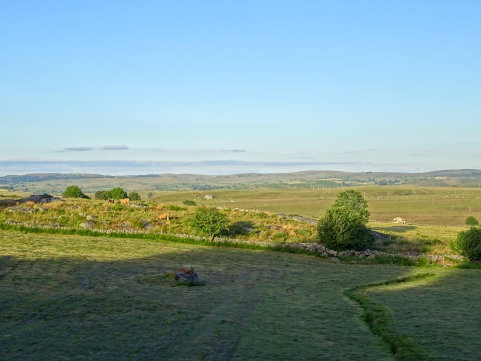 DSC01093 