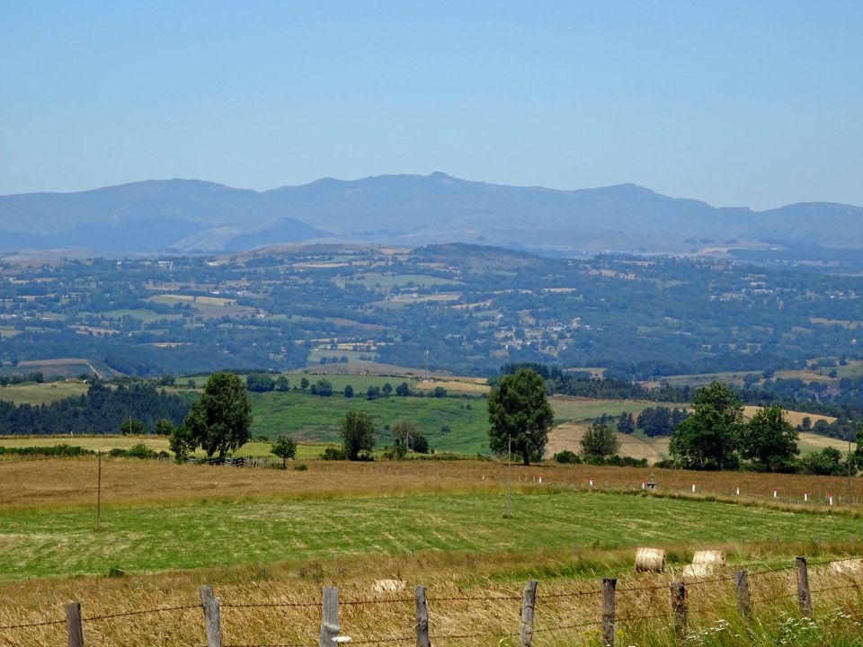 DSC01259 