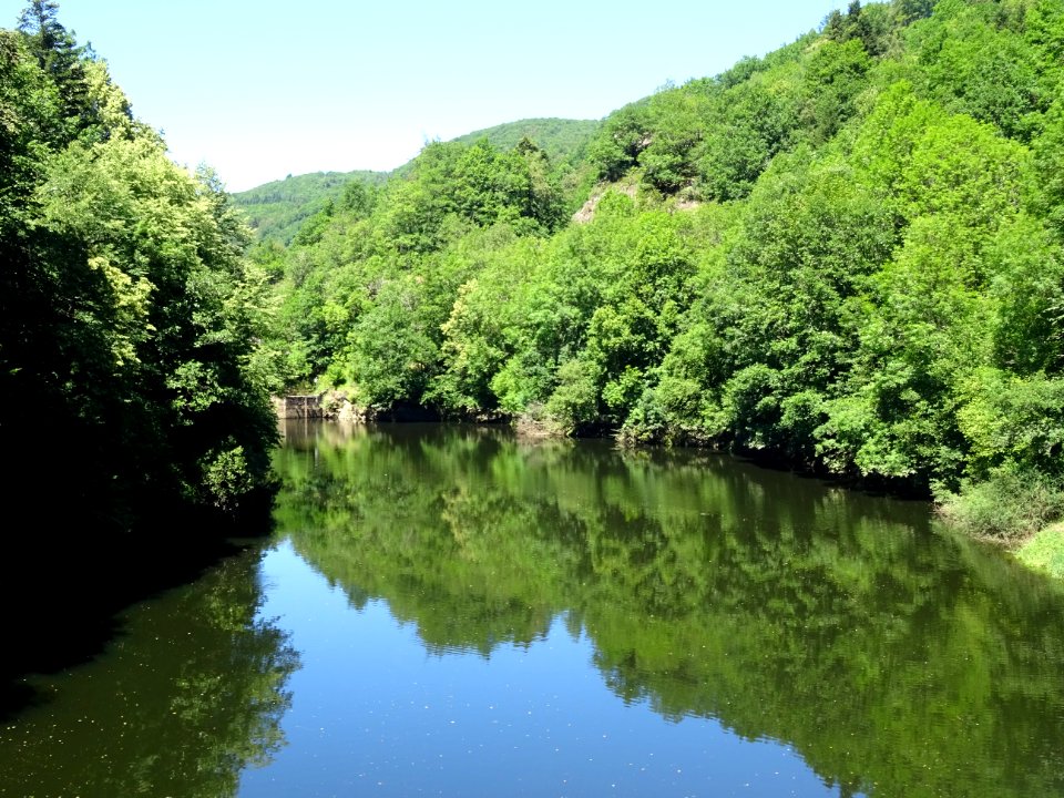 Gorges de la Rhue près de Coindre, Cantal 