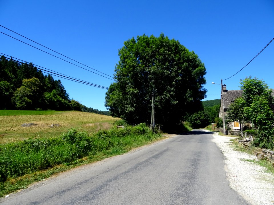 DSC01901 
