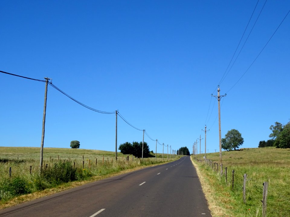 DSC01701 