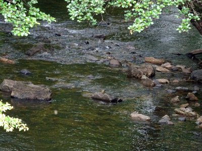 Rivière, Le Mars, Vendes, Cantal 