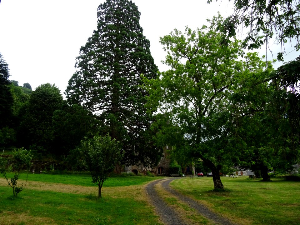 Parc du Château de Lamargé, Fontanges, Cantal 