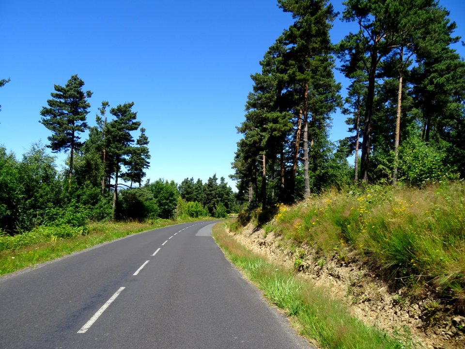DSC01261 