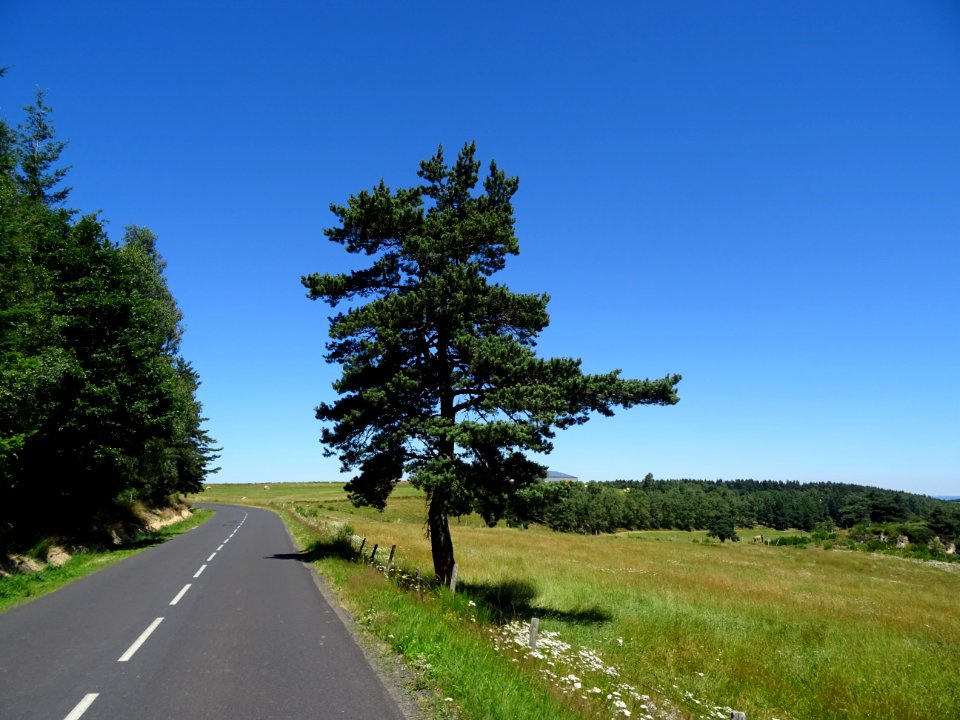 DSC01257 