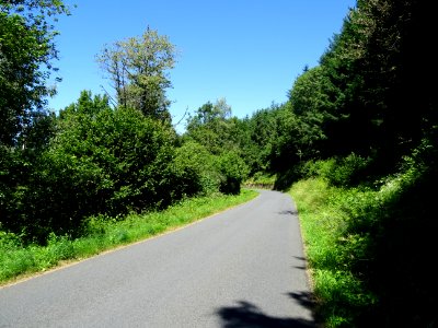 DSC01342 