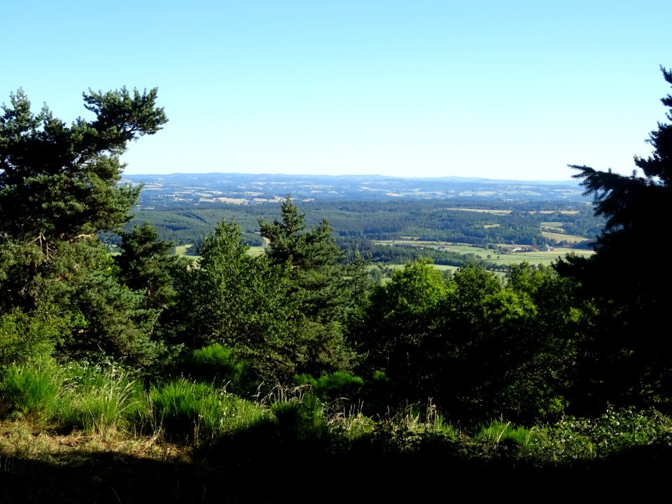 Depuis la montée dans la forêt de la Margeride, vue vers l… 