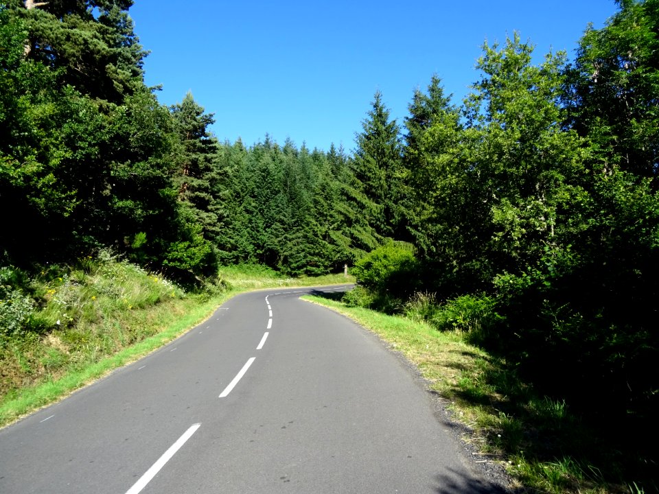 Montée dans la forêt de la Margeride, entre La Pelle et La… 