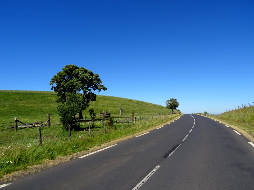 DSC01743 