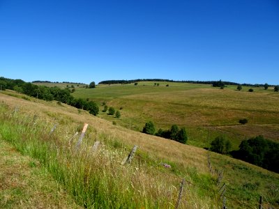 Grandes étendues herbeuses en montant au nord d'Allanche v… 