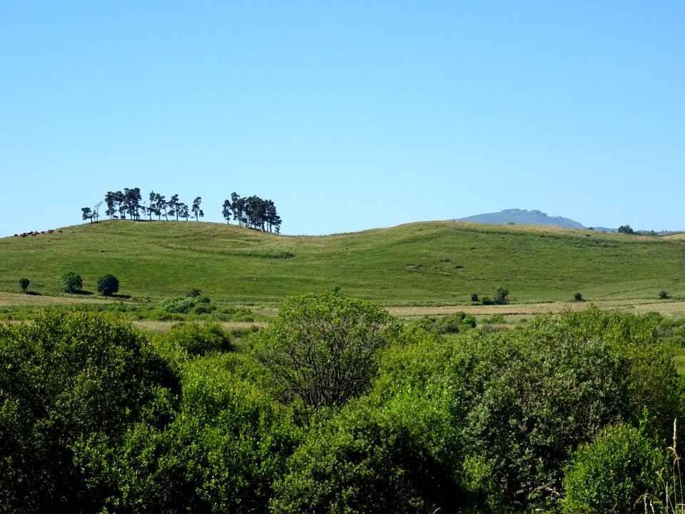 DSC01726 