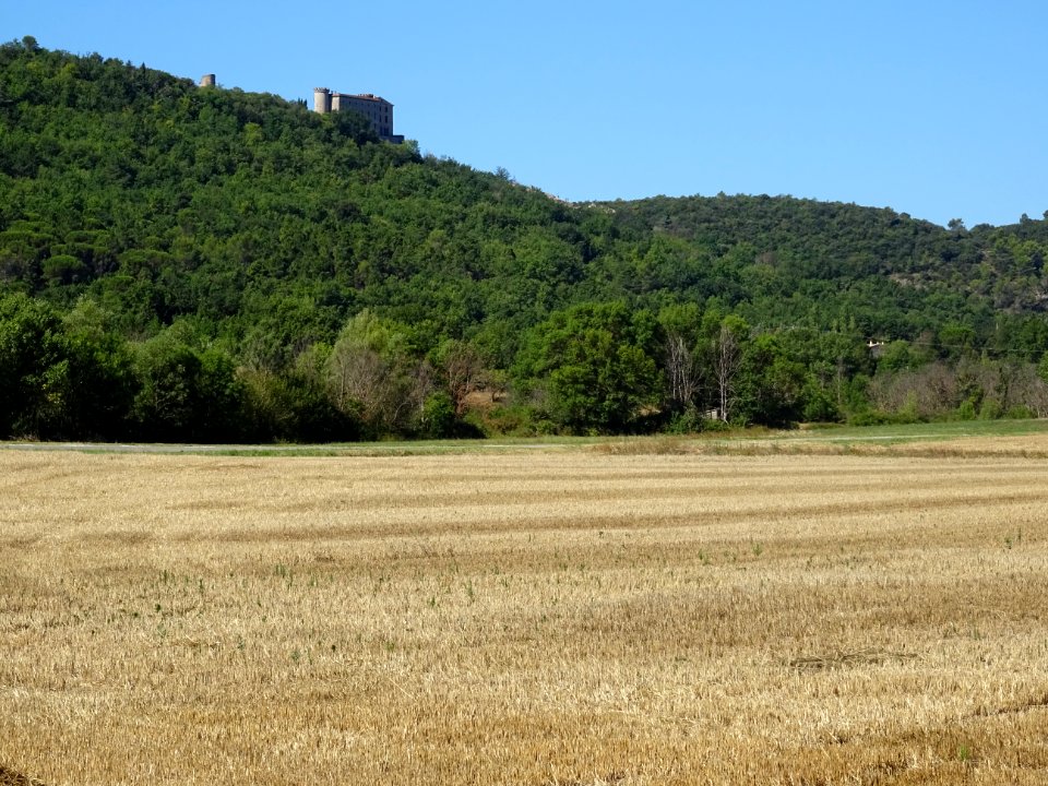 Château (du XIIème au XIXème siècle), St Martin de Pallièr… 