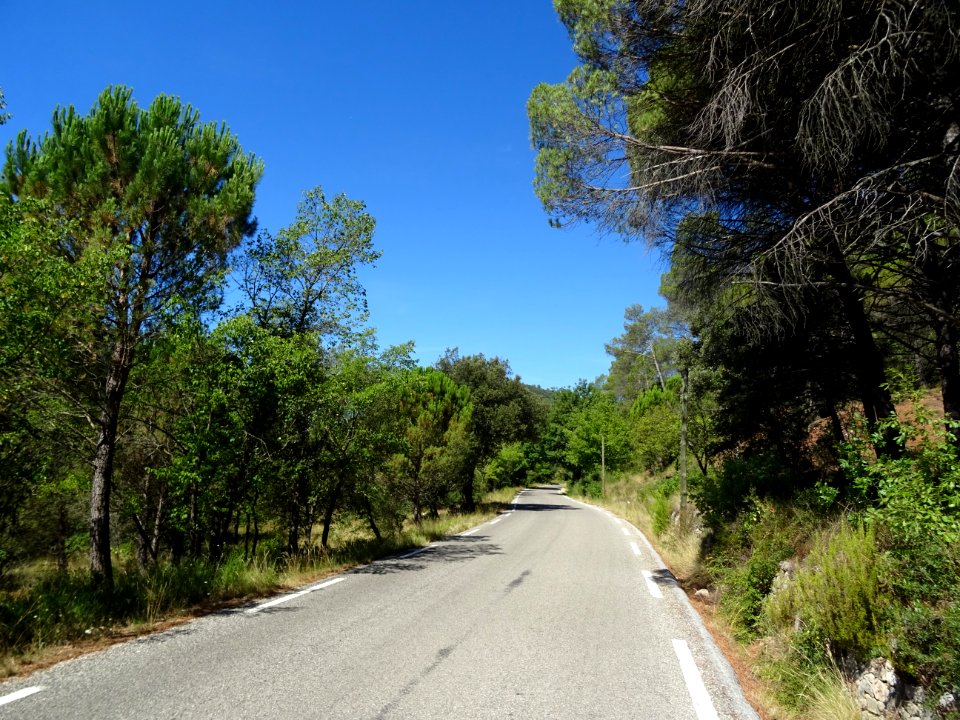 Sur la petite D24, entre le lac Sainte Suzanne et Vins-sur… 