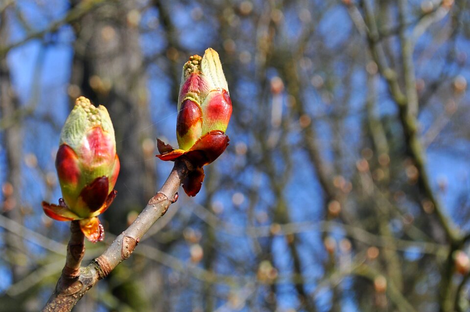 Spring nature colors