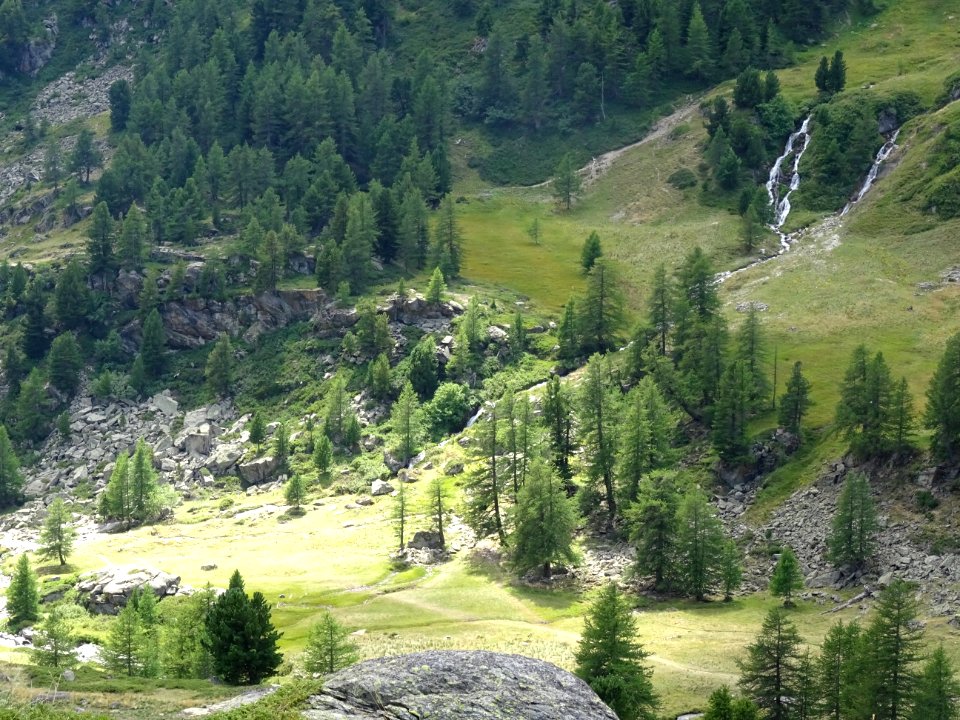 Cascades, mélèzes et prairies 