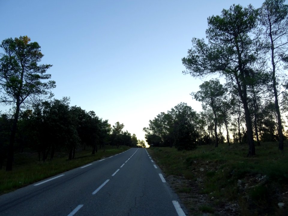 DSC01935 
