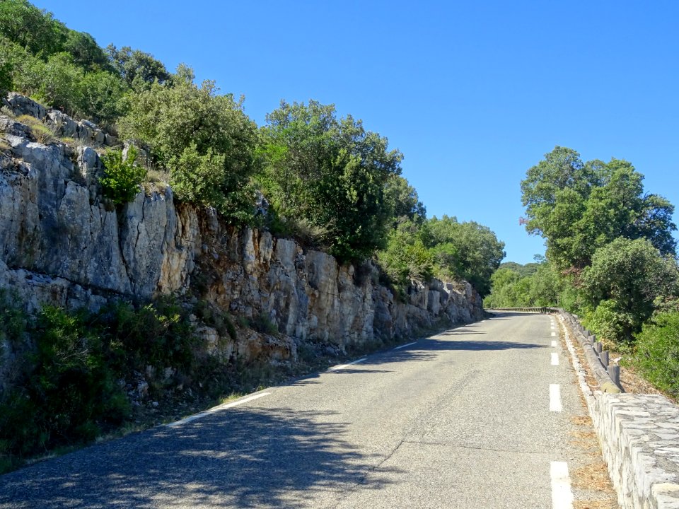 DSC02181 