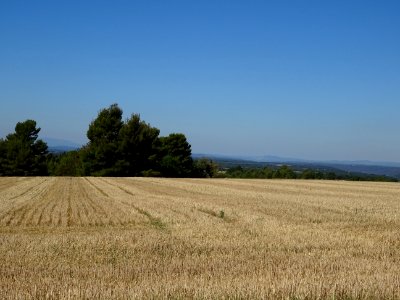 Plateau de Valensole, après Moustiers-Sainte-Marie, Alpes-… 