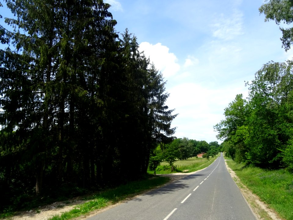 La petite route D36 entre Vertus et Villers-aux-Bois, Marn… 