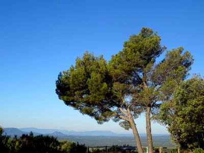 Point de vue, juste avant le Col de la Bigue, Var 