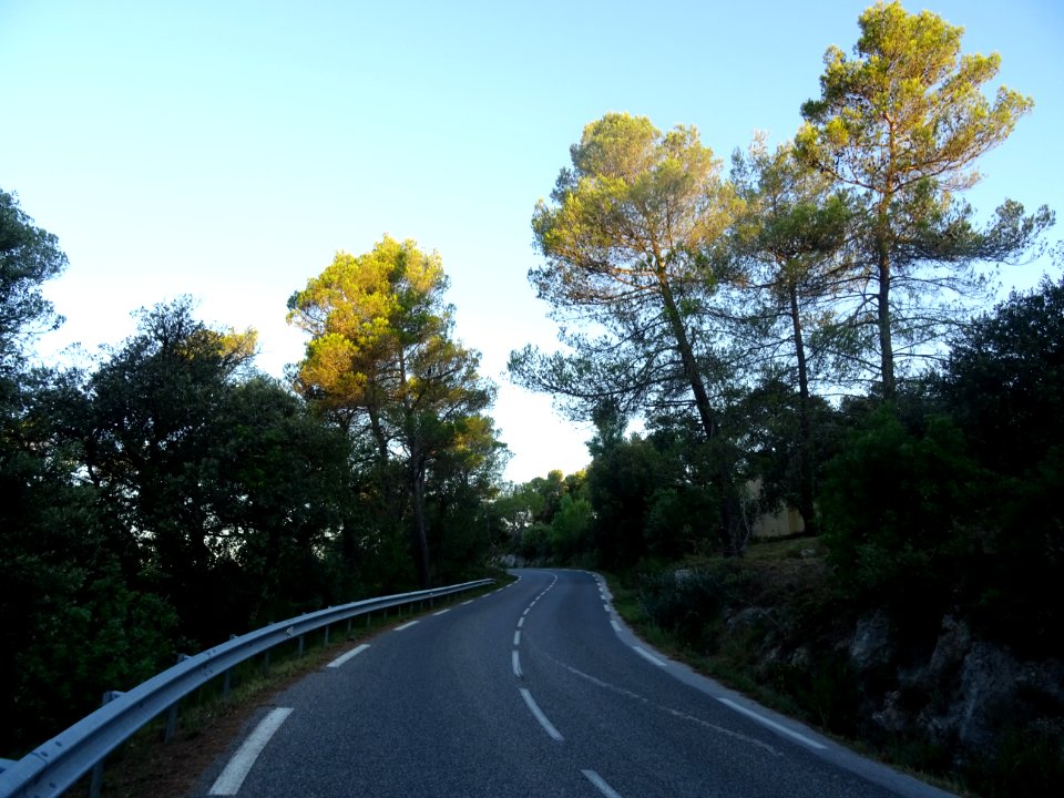 DSC01943 