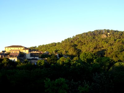 Colline de pins et maisons, Sillans-la-Cascade, Var 