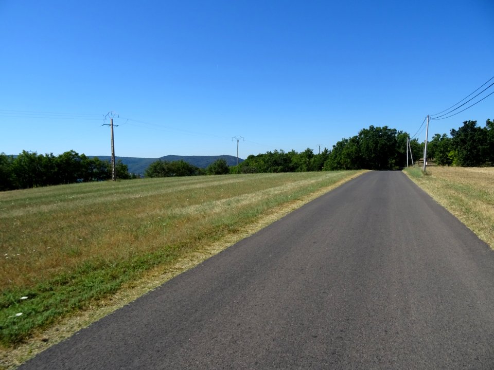 DSC02160 
