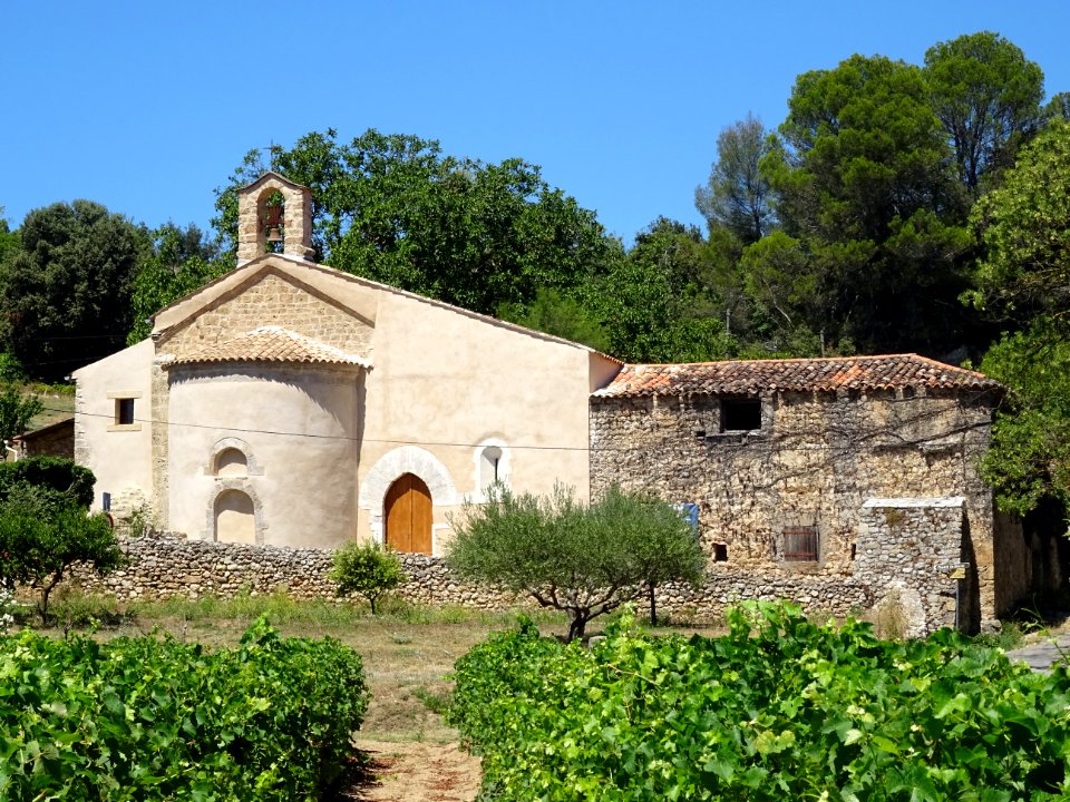 Vignes et chapelle Saint-Martin, Cotignac, Var 