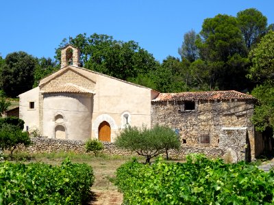 Vignes et chapelle Saint-Martin, Cotignac, Var 