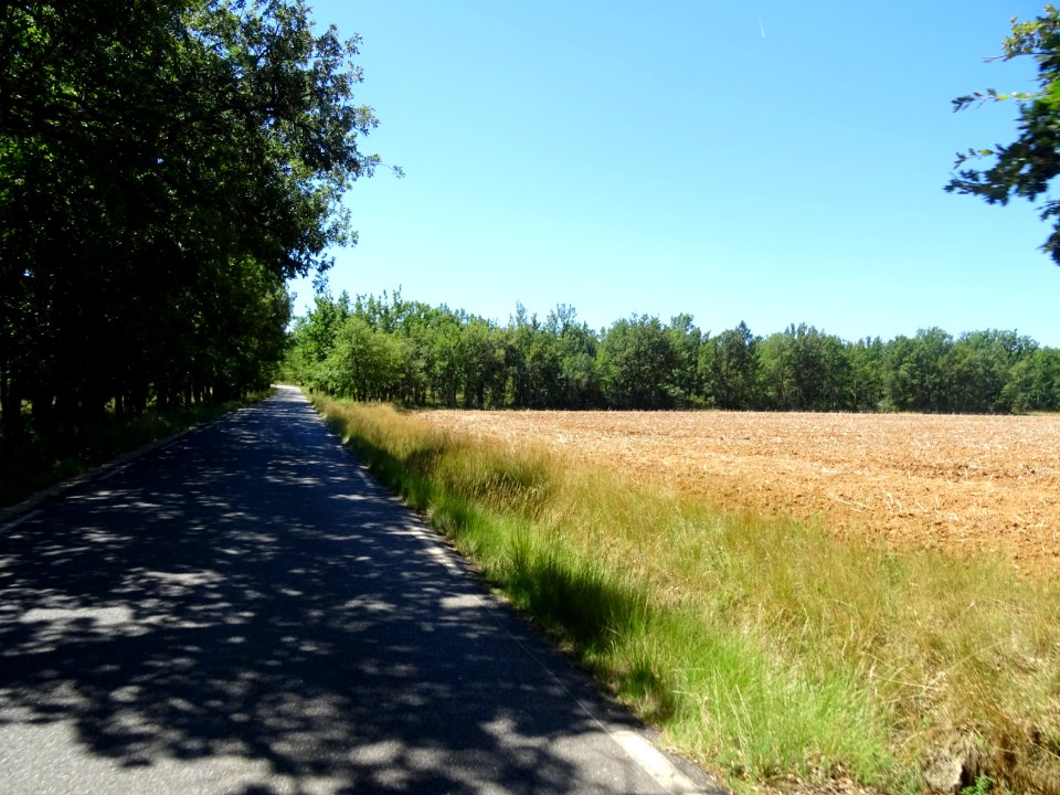 DSC02217 