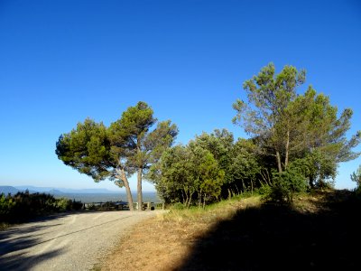 Point de vue, juste avant le Col de la Bigue, Var 