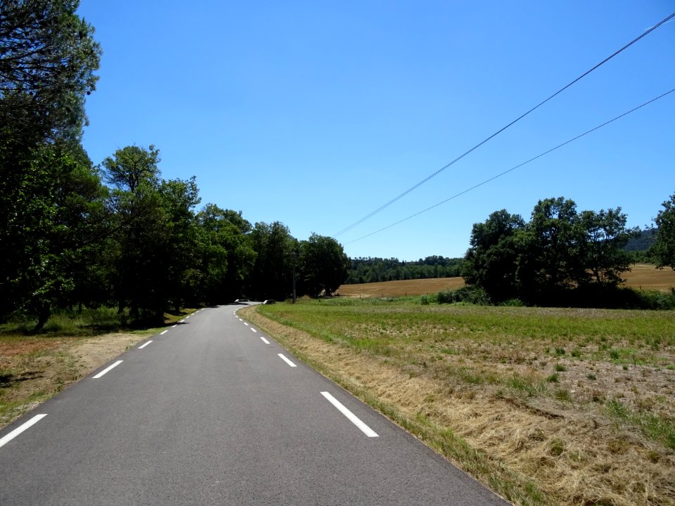 DSC02225 