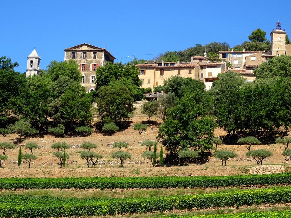 Vignes, oliviers et châtaigniers, Moissac-Bellevue, Var 