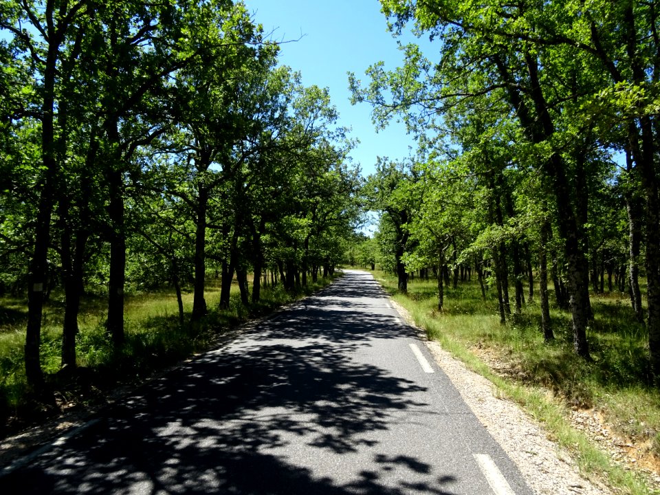 Derière petite route avant le retour à Cotignac, Var 